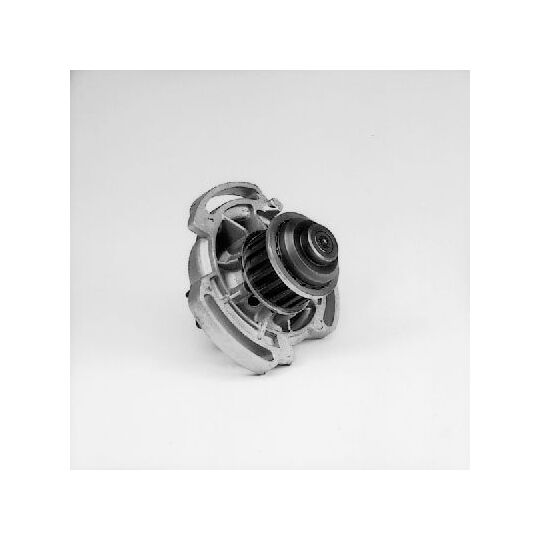 P521 Water pump