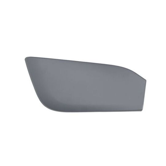 5513-00-0095972P Trim/Protective Strip, bumper