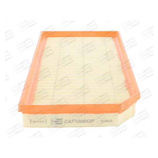 CAF100842P Air filter
