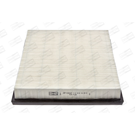 CAF100666P Air filter