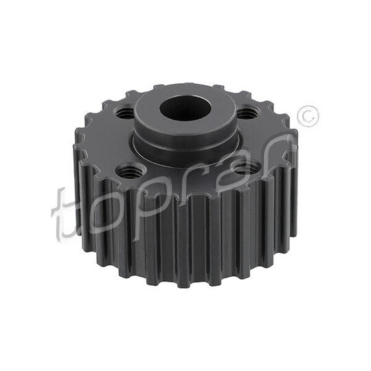 100 295 Gear, crankshaft