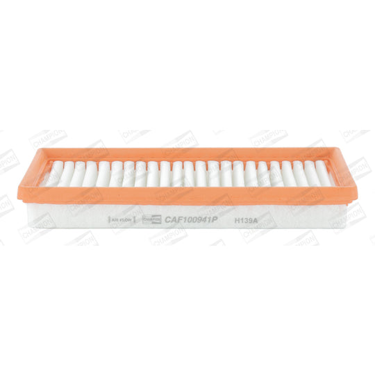 CAF100941P Air filter