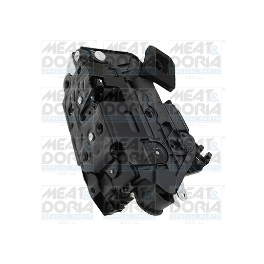 31385 Door Lock
