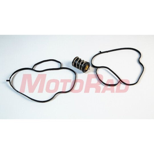 973-105K Thermostat, coolant