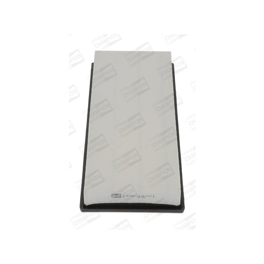 CAF100863P Air filter