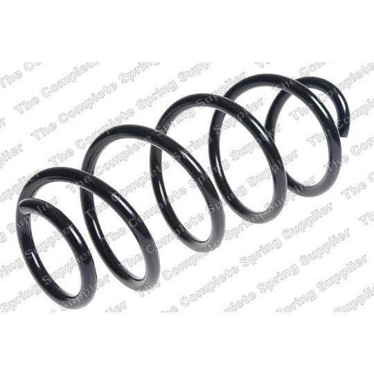 25098 Coil Spring