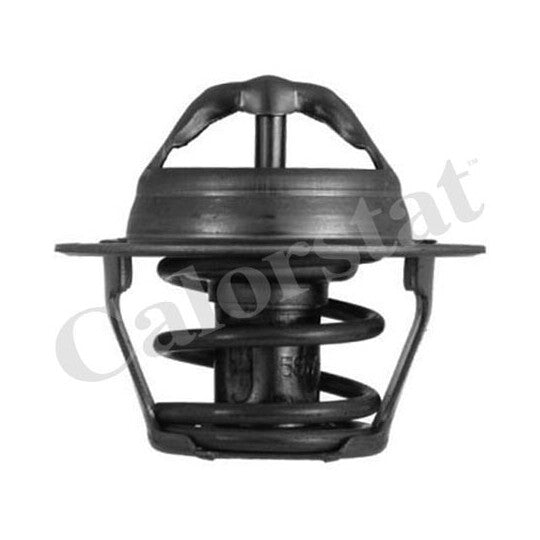 TH4898.92J Thermostat, coolant