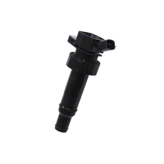 134080 Ignition coil