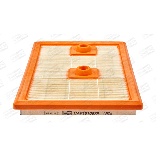 CAF101067P Air filter