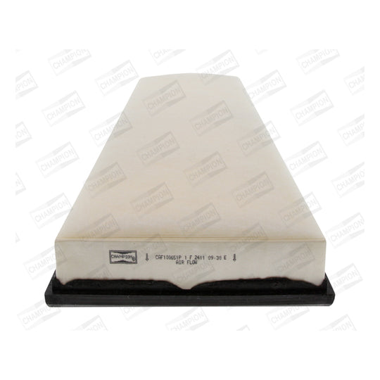 CAF100651P Air filter