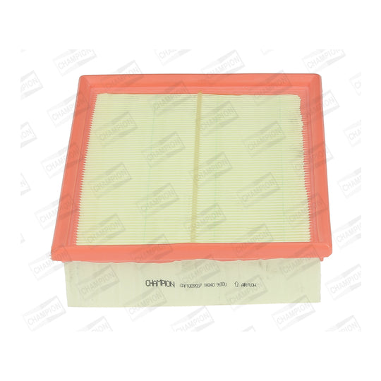 CAF100955P Air filter