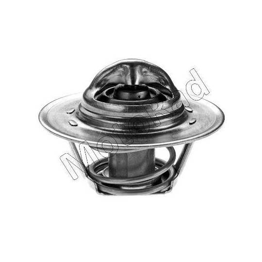 276-89K Thermostat, coolant