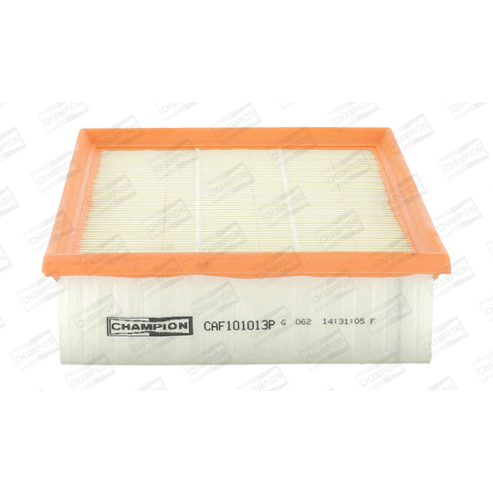 CAF101013P Air filter
