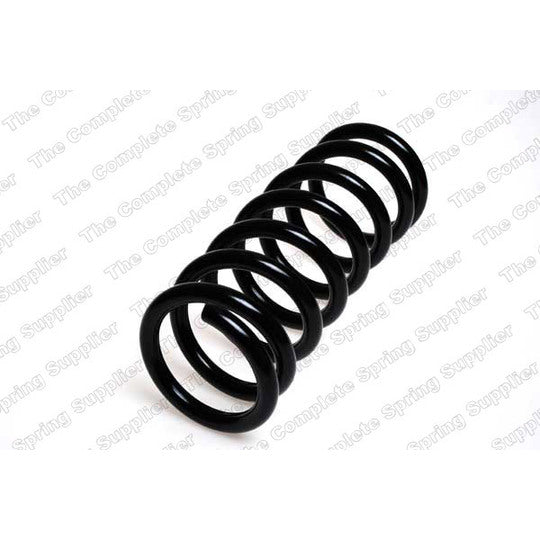 25350 Coil Spring