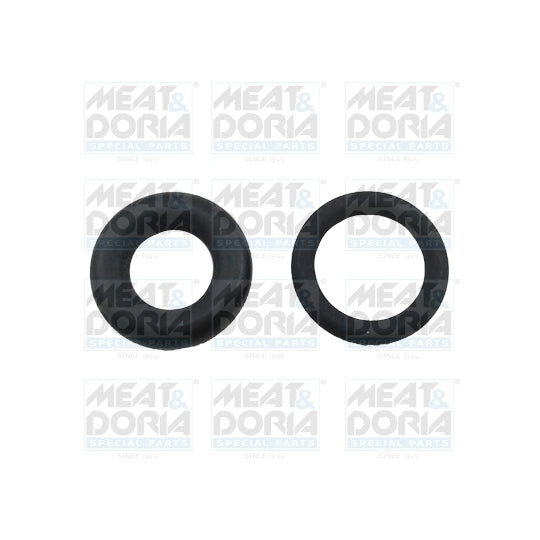 71243 Seal Ring Set, injector