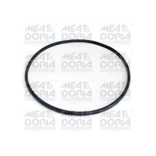GSK06 Seal, fuel sender unit