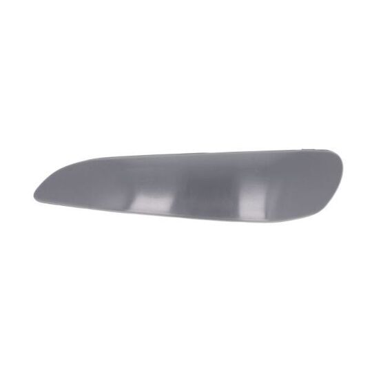 5513-00-8101925Q Trim/Protective Strip, bumper