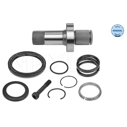 100 498 0247 Stub Axle, differential