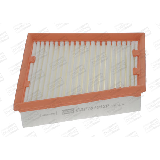 CAF101012P Air filter