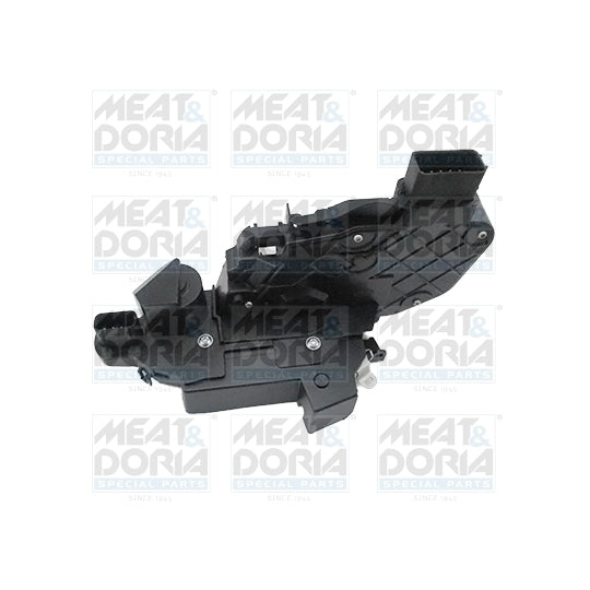 31396 Door Lock