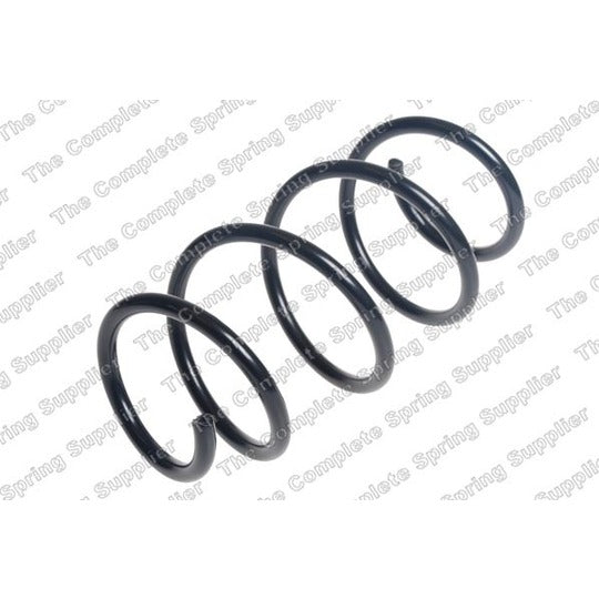 25117 Coil Spring