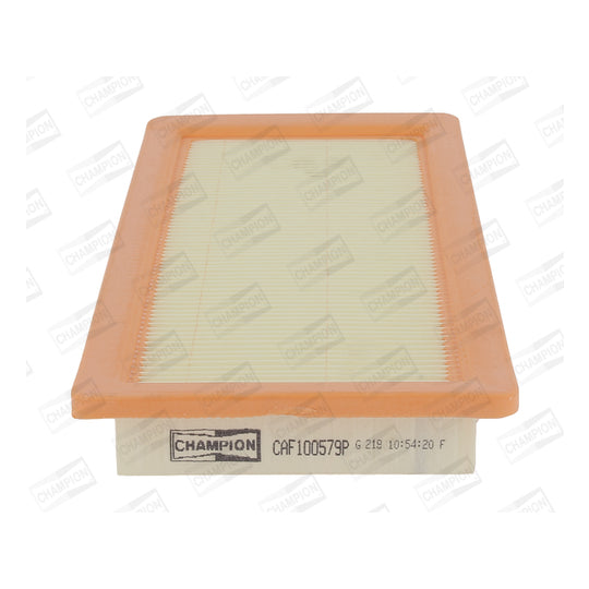 CAF100579P Air filter