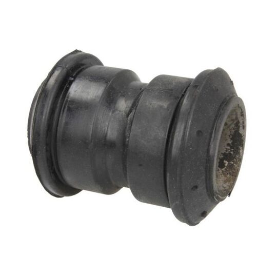 STR-120305 Bush, spring eye