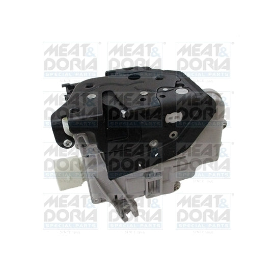 31389 Door Lock