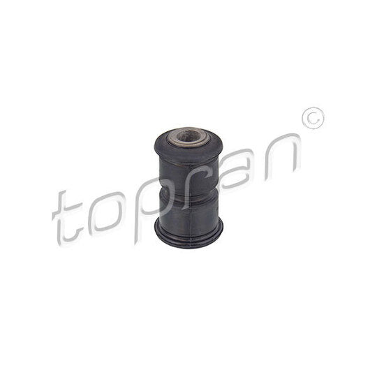 110 245 Bush, leaf spring