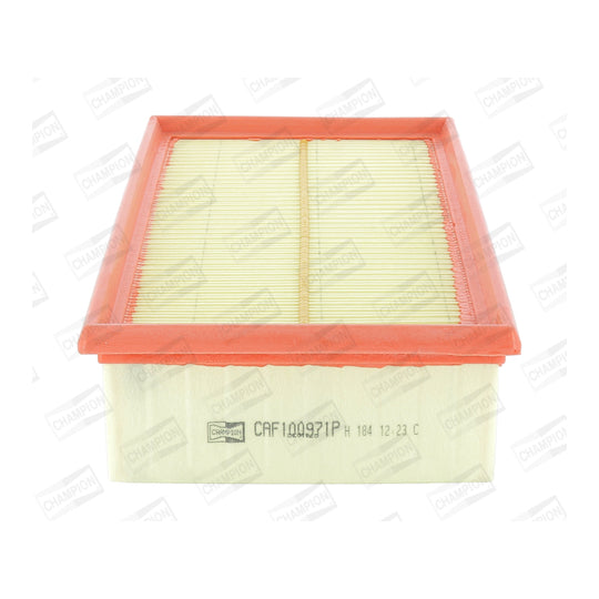 CAF100971P Air filter