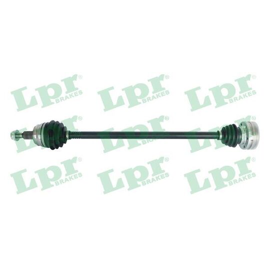 DS51066 Drive Shaft
