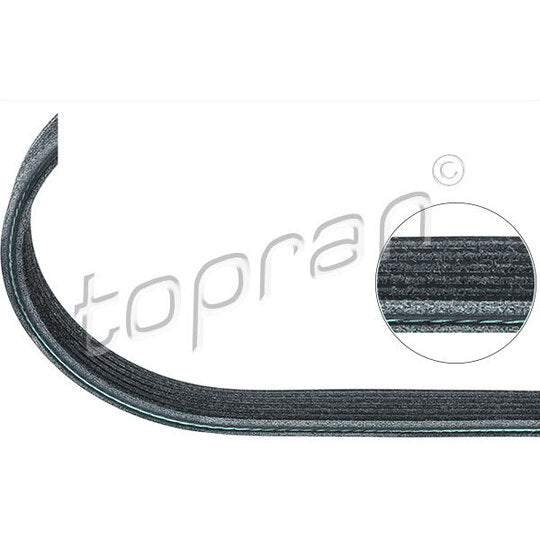 109 659 V-Ribbed Belt