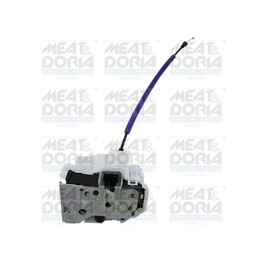 31336 Door Lock