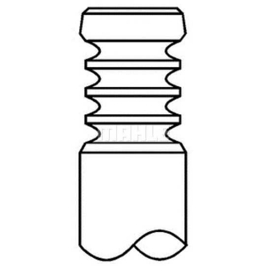 061 VE 32006 100 Inlet Valve