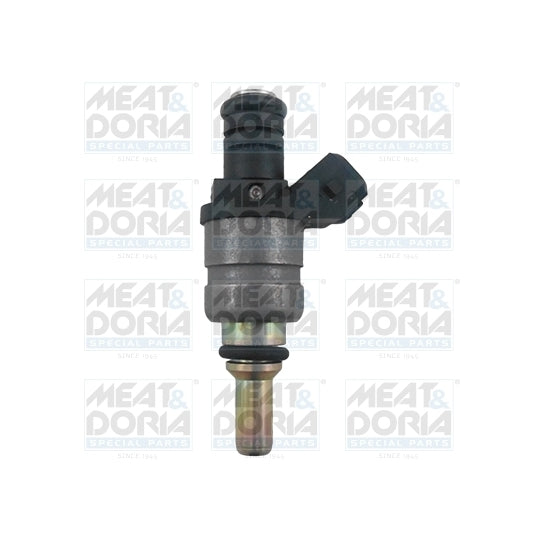 75117813 Injector