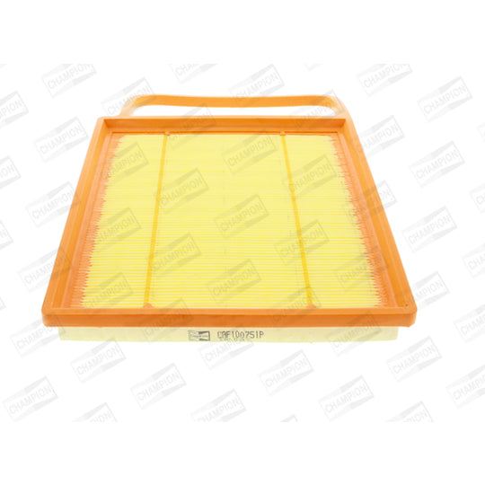 CAF100751P Air filter