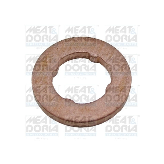 98012 Seal Ring, nozzle holder