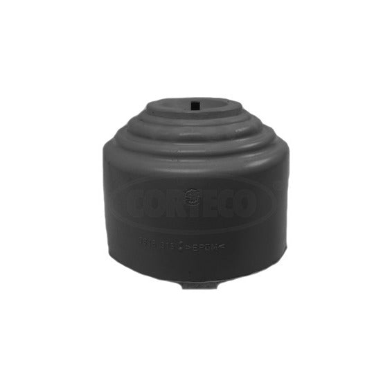 80001083 Engine Mounting