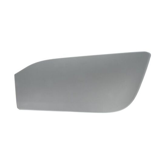 5513-00-0095971P Trim/Protective Strip, bumper