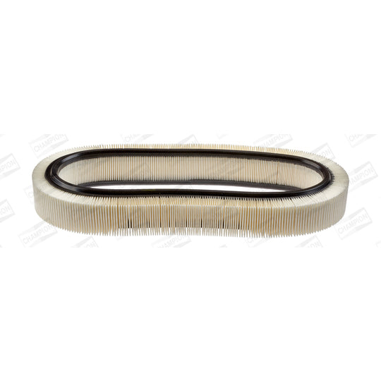 CAF100148R Air filter