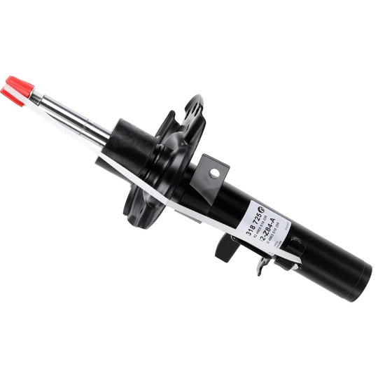 318 725 Shock Absorber