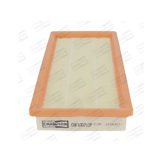 CAF100712P Air filter