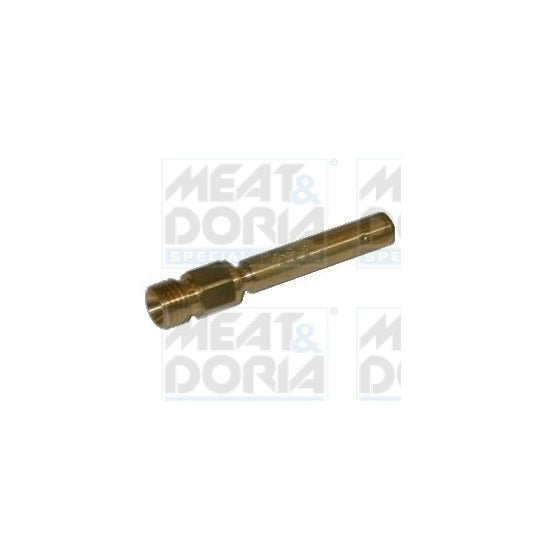 75111047 Injector