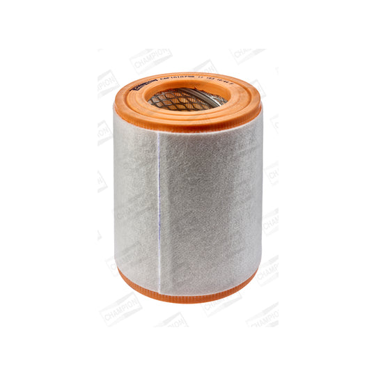 CAF101079R Air filter