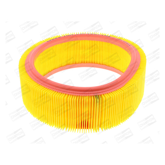 CAF100716R Air filter
