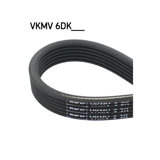 VKMV 6DK1836 V-Ribbed Belt