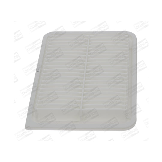 CAF101107P Air filter
