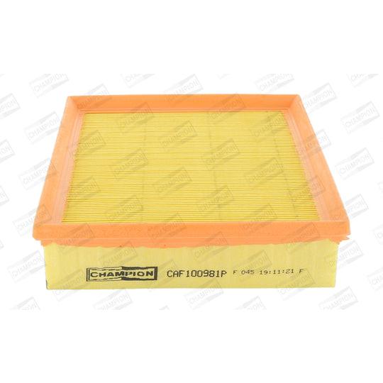 CAF100981P Air filter