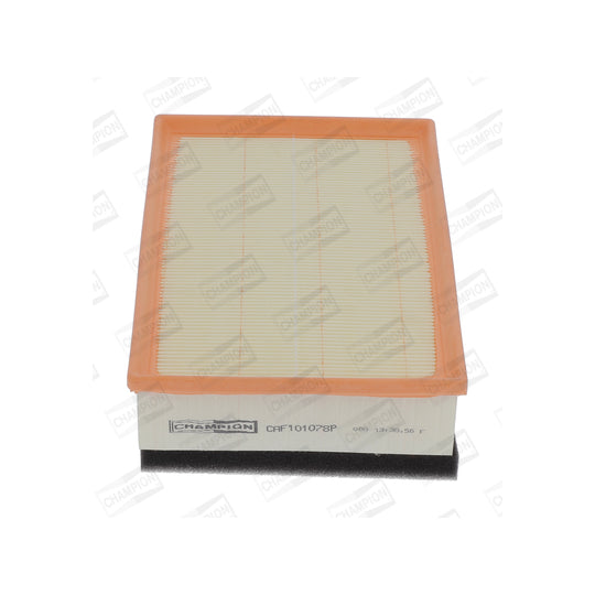 CAF101078P Air filter