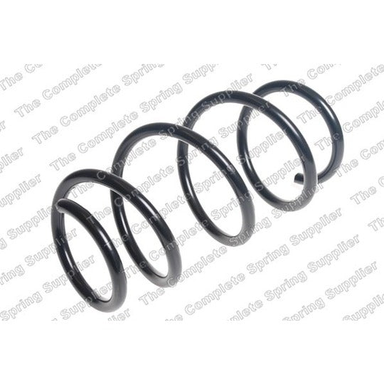 25121 Coil Spring